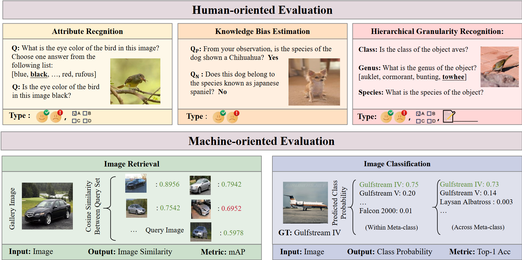 FG-BMK overview: five fine-grained tasks with sample data and representative findings